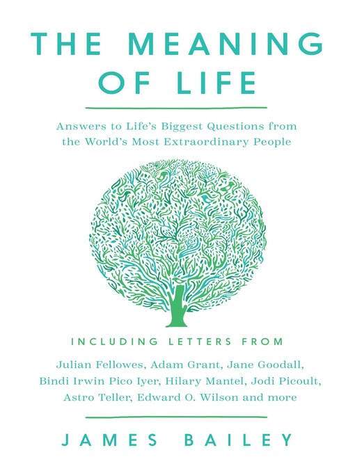 Cover image for The Meaning of Life